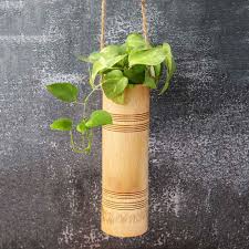 Bamboo Planters